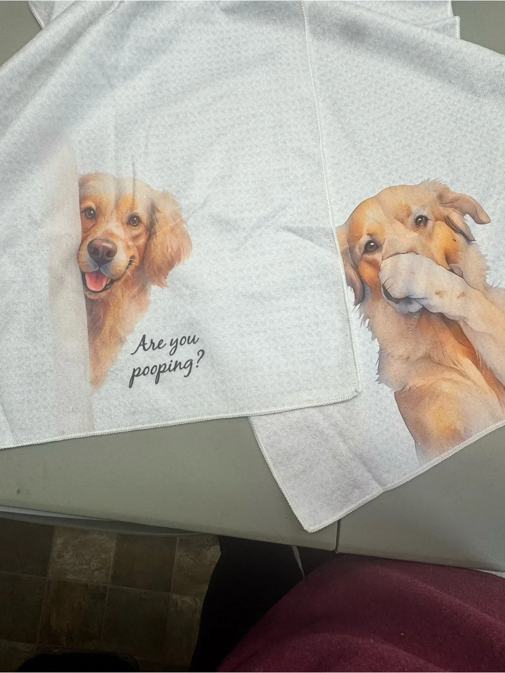 Blank Brand Golden‎ Dog Print Pet Blanket - Cream